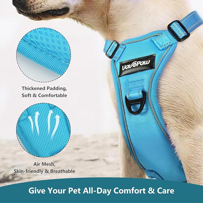 Dog Seat Belt Harness for Car, Dog Car Harness Adjustable Mesh Breathable & Dogs Seatbelt Safety Tether with Elastic Bungee for Small Medium Large Pets(Blue, M)