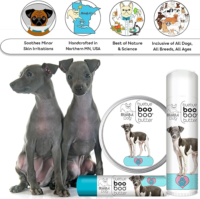 The Blissful Dog Italian Greyhound Boo Boo Butter, 0.15-Ounce