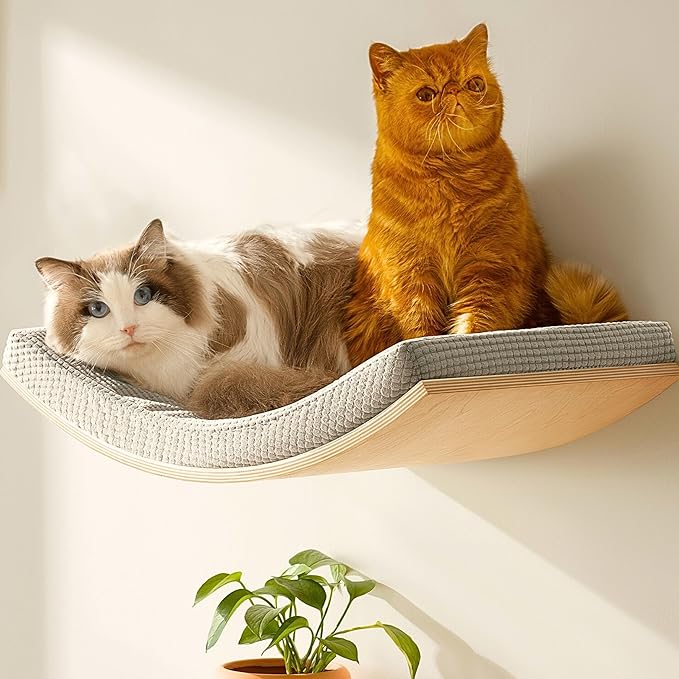 Extra Large 23.6”×14.6” CALLICO HAVEN- Stylish Cat Wall Shelves with Curved Design, Modern Wall-Mounted Cat Tree Hammock with Soft Cushion, Sturdy/Hidden Mounts, Washable Cover, Sleek Design -C Shape