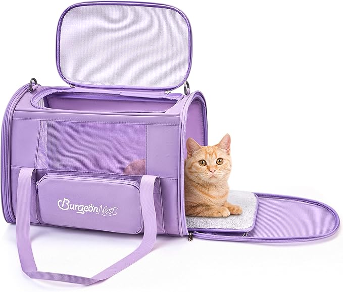 BurgeonNest Cat Dog Carrier, Cat Carriers for Large Medium Cats 20 lbs, Soft Sided Puppy Kitten Pet Carrier Under 25 lbs, Collapsible Travel Cat Carrier with Unique Side Bag (Medium)