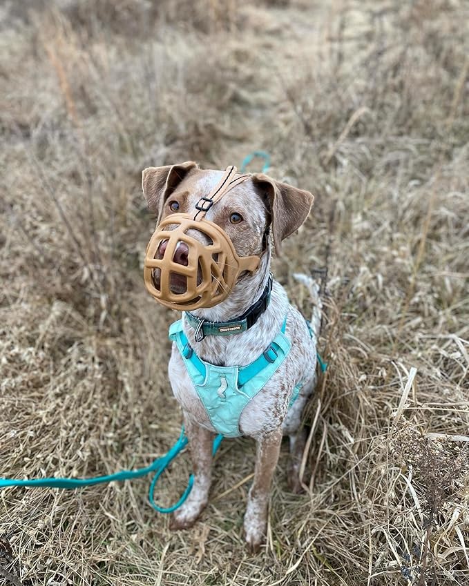 Mayerzon Dog Muzzle, Breathable Basket Muzzles for Small, Medium, Large and X-Large Aggressive Dogs Beagle German Shepherd Doberman, Cage Mouth Guard Stop Biting Chewing for Grooming Training