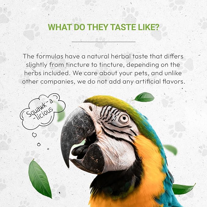 Birds Feathers | Natural Herbal Dietary Pet Supplement for Birds | Support Healthy Feathers | Alcohol-Free Extract, Dandelion Root, Calendula, Alfalfa, Peppermint, Fennel 2 oz