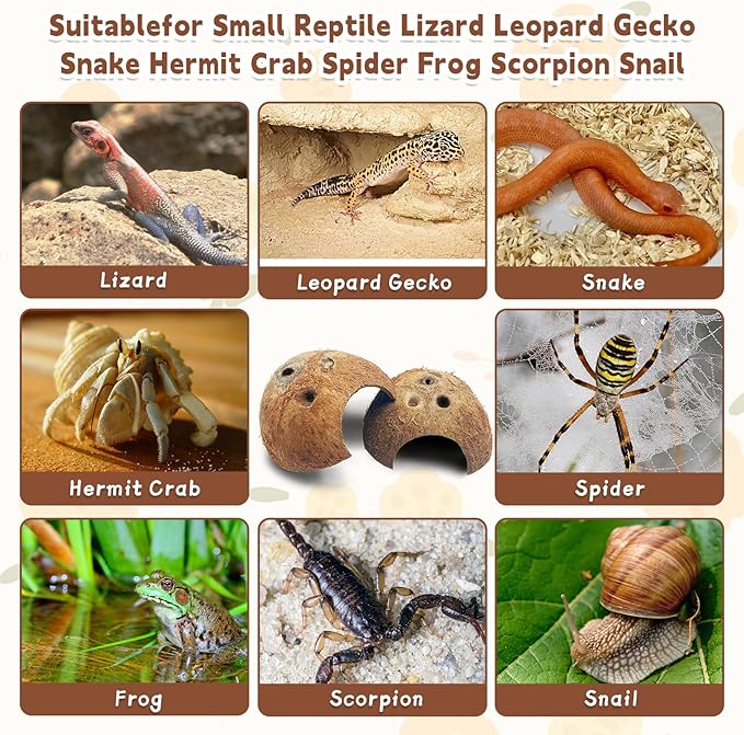 PINVNBY Natural Coconut Reptile Hideouts Lizard, Coco Hut Hermit Crab Hut Aquarium Fish Hide Cave for Small Reptile Crested Gecko Leopard Gecko Spider Snail Climber Toys (4 PCS Natural Surface)