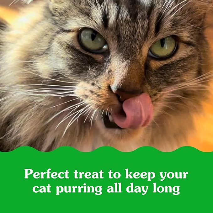 Greenies Feline Smartbites Healthy Indoor Cat Treats, Chicken Flavor, 16 oz. Tub