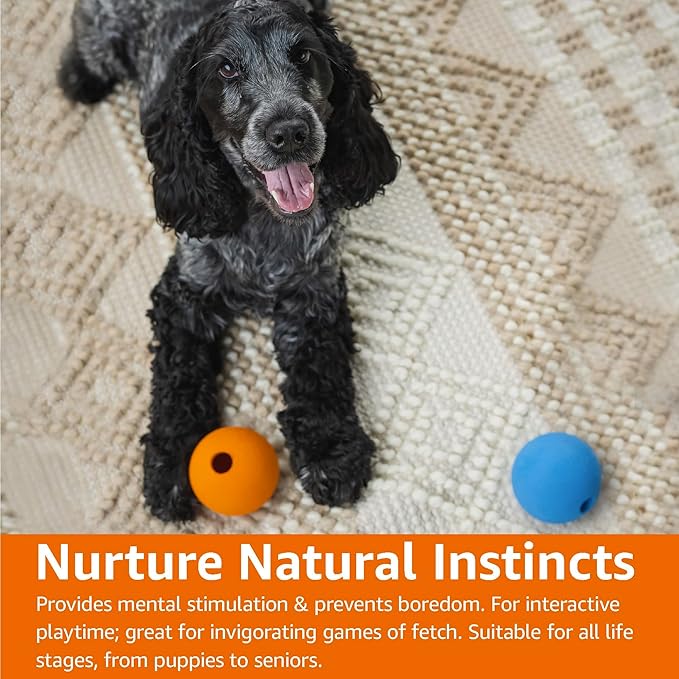Amazon Basics Dog Toys, Interactive Fetch Rubber Balls, (Pack of 10), 2.5 inch, Multi-Color Blue/Orange