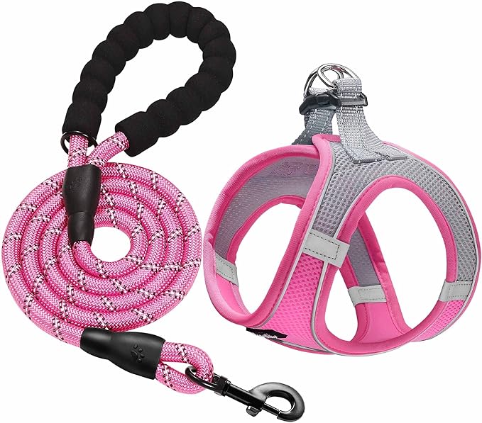 haapaw Dog Harness with Leash Set, No Pull Adjustable Reflective Step-in Puppy Harness with Thickened Padded Vest for Extra-Small/Small Medium Dogs