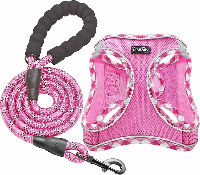 haapaw Dog Harness with Leash Set, No Pull Adjustable Reflective Step-in Puppy Harness with Thickened Padded Vest for Extra-Small/Small Medium Dogs