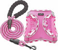 haapaw Dog Harness with Leash Set, No Pull Adjustable Reflective Step-in Puppy Harness with Thickened Padded Vest for Extra-Small/Small Medium Dogs