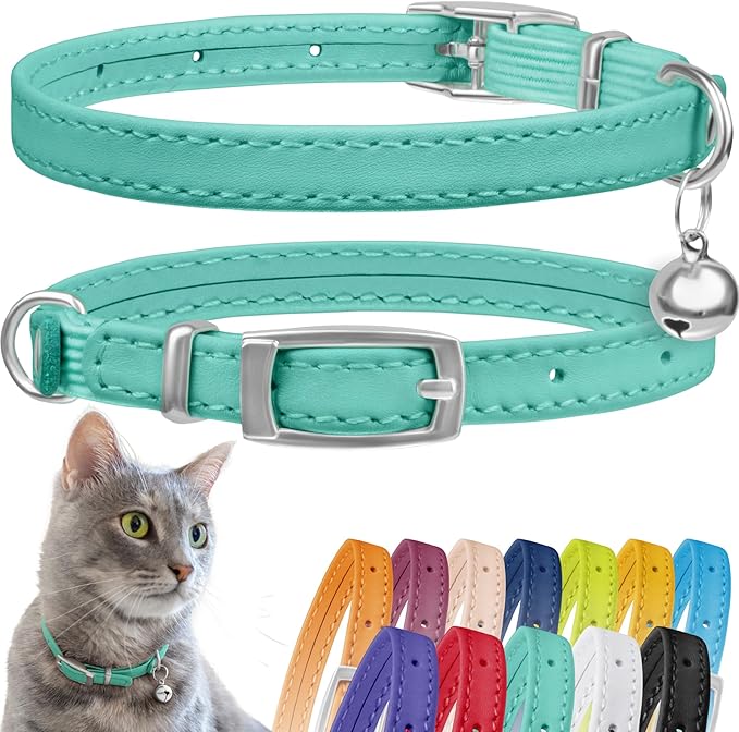 CollarDirect Leather Cat Collar, Cat Safety Collar with Elastic Strap, Kitten Collar with Bell Black Blue Red Orange Lime Green (8-11 Inch, Mint Green)