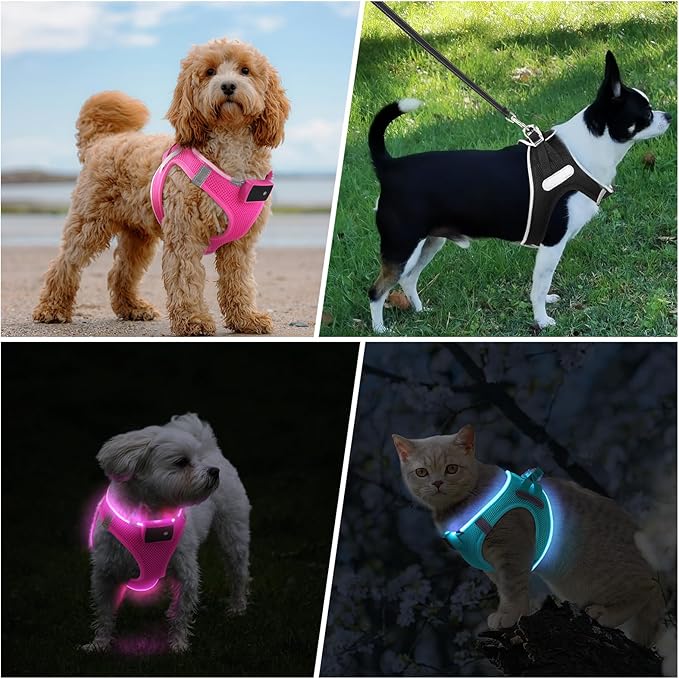 PceoTllar Light Up Dog Harness, LED No Pull Reflective Dog Harness, Flashing Lighted for Night Walking - Small/Medium, (Pink,S)
