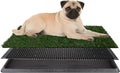 Artificial Grass Puppy Pee Pad for Dogs and Small Pets - 16x20 Reusable 3-Layer Training Potty Pad with Tray - Dog Housebreaking Supplies by PETMAKER