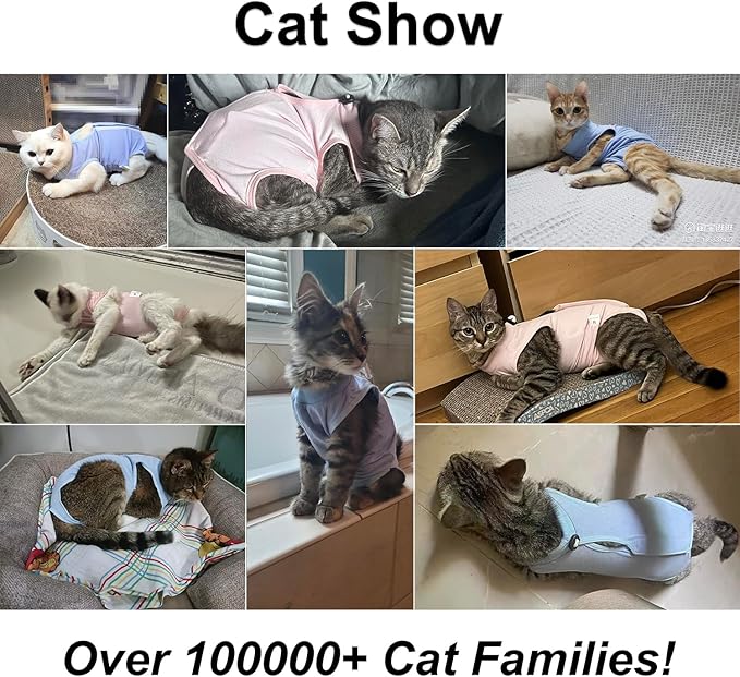 Cat Recovery Suit, Surgical Recovery Clothes for Abdominal Wound or Skin Disease, Cats Onesie After Surgery and Spay, E-Collar Alternative Pajama Suit (Purple, Medium)
