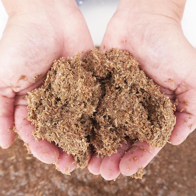 2 Quarts Organic Fiber Substrate for Pet Snail, Ideal Snail Terrarium Accessories for Retains Moisture