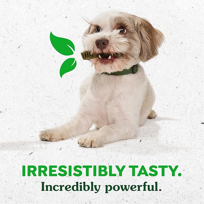 Greenies Petite Dental Dog Treats, Pumpkin Spice Flavor, Limited Edition, 12 oz. Pack (20 Treats)
