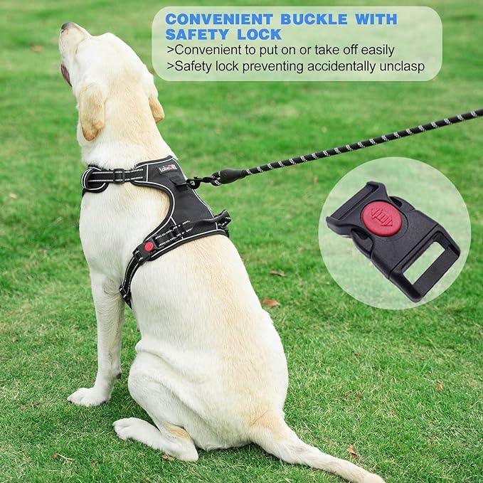 No Pull Dog Harness Adjustable Reflective Oxford Easy Control Medium Large Dog Harness with A Free Heavy Duty 5ft Dog Leash