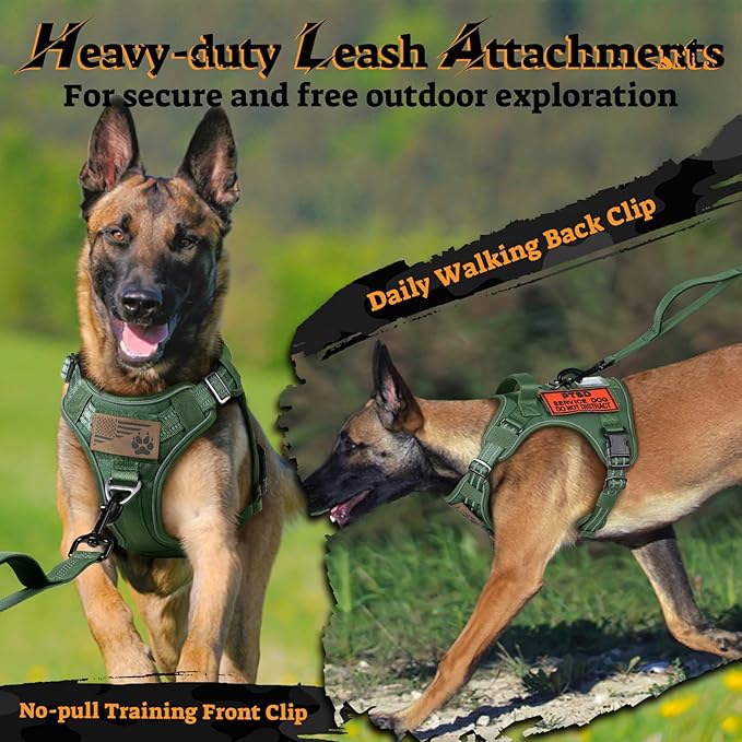 rabbitgoo Dog Harness for Large Dogs No Pull, Tactical Service Pet Vest with Molle and Control Handle, Adjustable and Reflective Military Harness for Easy Walking and Training, Green, L