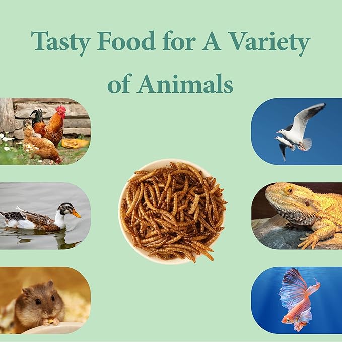 11 LBS Dried Mealworms, Non GMO, High Protein Treat for Chicken, Duck, Birds, Reptile, Hamster,Hedgehog