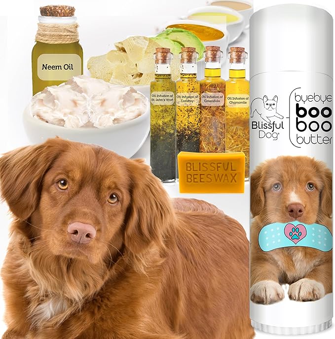 The Blissful Dog Nova Scotia Duck Tolling Retriever Boo Boo Butter, 0.50-Ounce