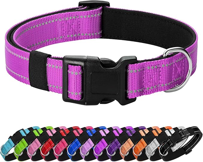 Reflective Dog Collar Padded with Soft Neoprene Breathable Quick Release Basic Dog Collars for Medium Large Dogs Dark Magenta