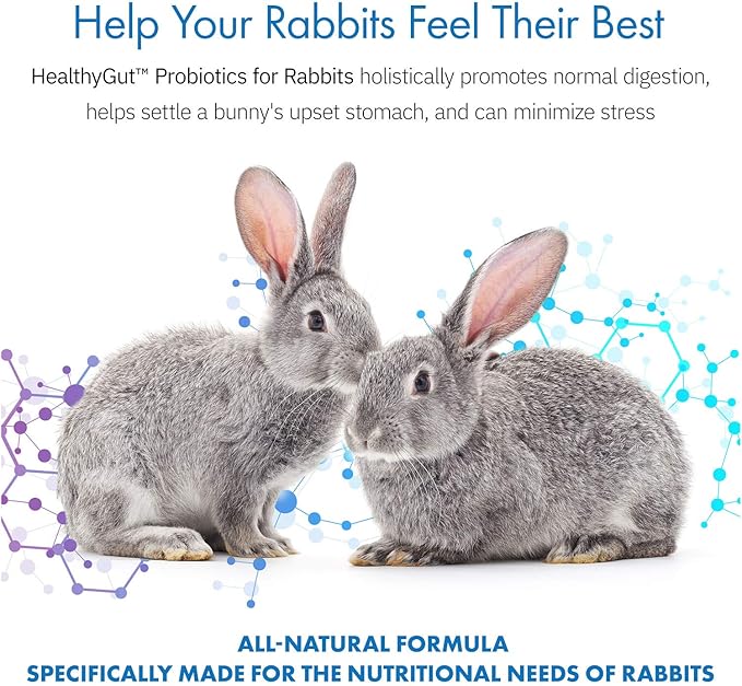 HealthyGut Probiotics for Rabbits Dietary Supplement, All-Natural Digestive System Formula (120 Servings)
