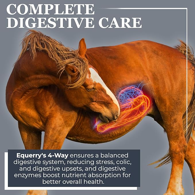 Equerry's Combined RX 4 Way | Equine Nutritional Support | Complete Formula | Digestive and Joint Support | Hoof & Hair | Probiotics Vitamins & Minerals 160 Feedings, 20lb.