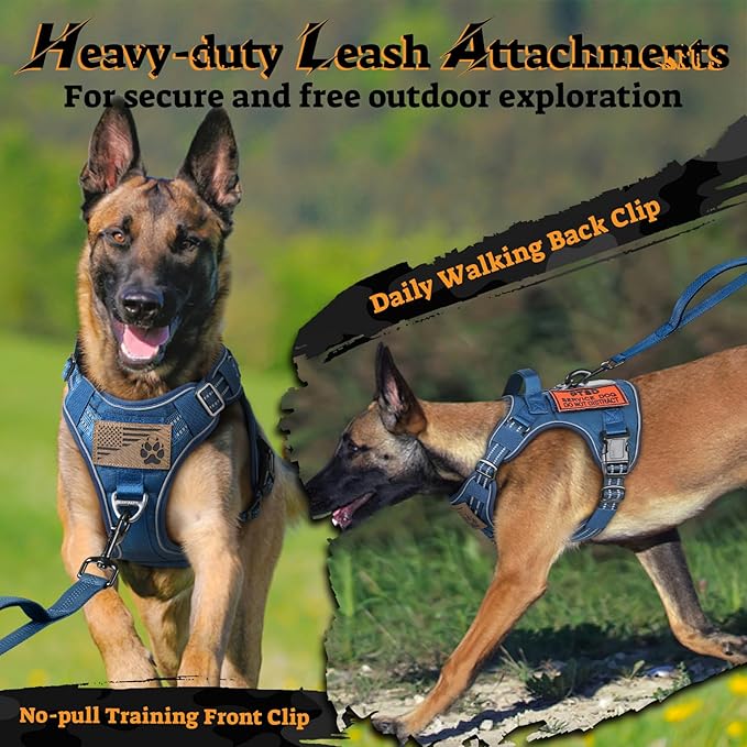 rabbitgoo Dog Harness Small Sized No Pull, Tactical Service Pet Vest with Molle and Control Handle, Adjustable and Reflective Military Harness for Easy Walking and Training, Blue, S