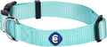 Blueberry Pet Essentials X-Small Dog Collar in Mint Blue | Adjustable & Eco-Friendly Durable Nylon Strap | Classic Collar for X-Small Dogs, Boy & Girl Pets