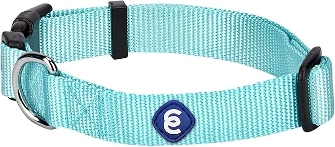Blueberry Pet Essentials Matching Medium Adjustable & Durable Classic Solid Color Nylon Dog Collars for Medium Dogs | Mint Blue Collar for Girl & Boy Dogs