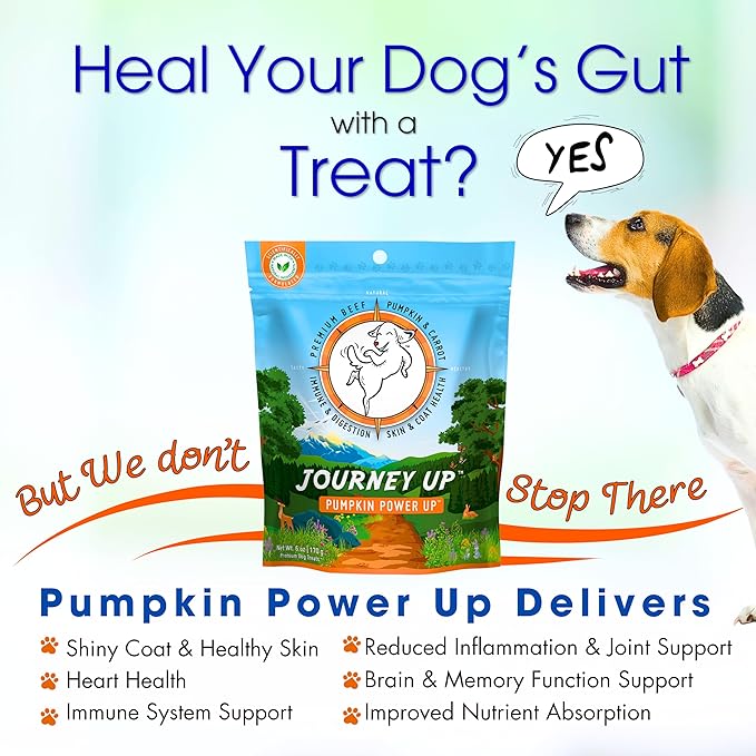 HappyTails Journey Up, Pumpkin Power Up Jerky Treats for Dogs with Beef, Pumpkin & Carrots-Made in USA-Prebiotics for Gut & Immune Health, Omega 3 & 6 for Skin & Coat, Small-Large Dogs, 6 oz.