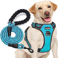 No Pull Dog Harness Adjustable Reflective Oxford Easy Control Medium Large Dog Harness with A Free Heavy Duty 5ft Dog Leash (S (Neck: 13"-18", Chest: 17.5"-22"), Blue Harness+Leash)