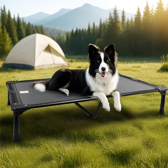 Sytopia 42'' Outdoor Elevated Dog Bed for Large Dogs, Chew-Proof Pet Camping Raised Cot with Breathable Mesh - Durable Frame, Cooling Hammock Style, Anti-Slip Base, Water-Resistant, Easy Clean