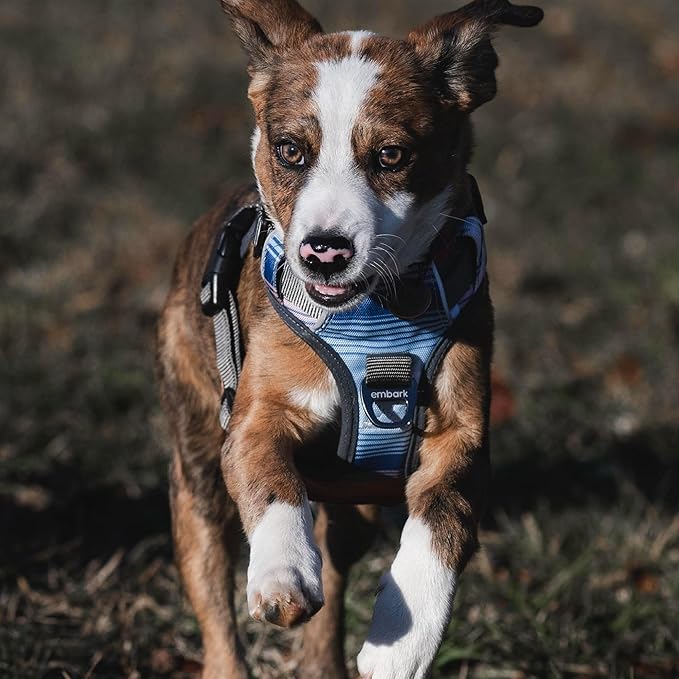 Embark Adventure Dog Harness, Reflective Trim No Pull Dog Harness Medium Sized Dogs - Military Grade Nylon, Front Clip with Gel Lined Handle.