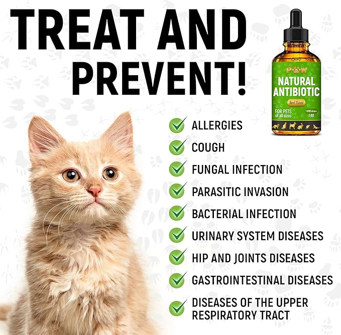 Antibiotics for Dogs | Antibiotics for Cats | Herbal Supplement for Digestion, Breathing, Urination | for Infections, Cough, Allergies | Beef Flavor & Cranberry | for All Pet Breeds | 2 Oz