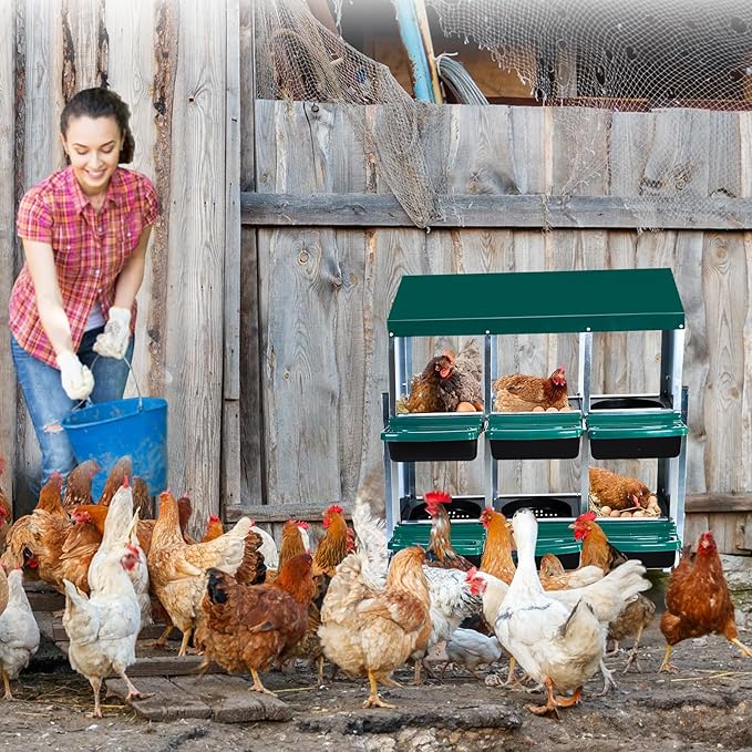Chicken Nesting Box, 6 Hole 2 Layer Hen Nest Boxes with Legs, Roll Away Eggs Laying Boxes,Cleanable Pull Out Hen Roosting Boxes