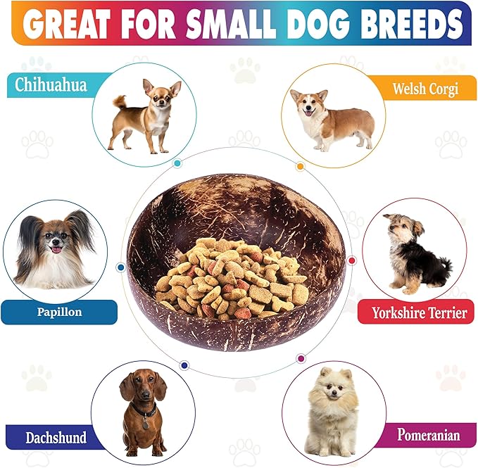 Raised Dog Bowl for Small Dog - Elevated, Ants-Off Stand, Real Coco Bowl, Height 5-inch, 33-oz Dish Capacity - Coconut/Bamboo Natural Calming Effect