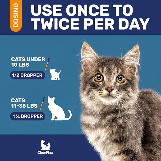 Cat Antibiotic to Help with Cough & Allergies – Antibiotics for Cats to Aid with UTIs and Digestive Moments – HIPS & Joints Support – Attractive Chicken Taste – 1 Oz Bottle