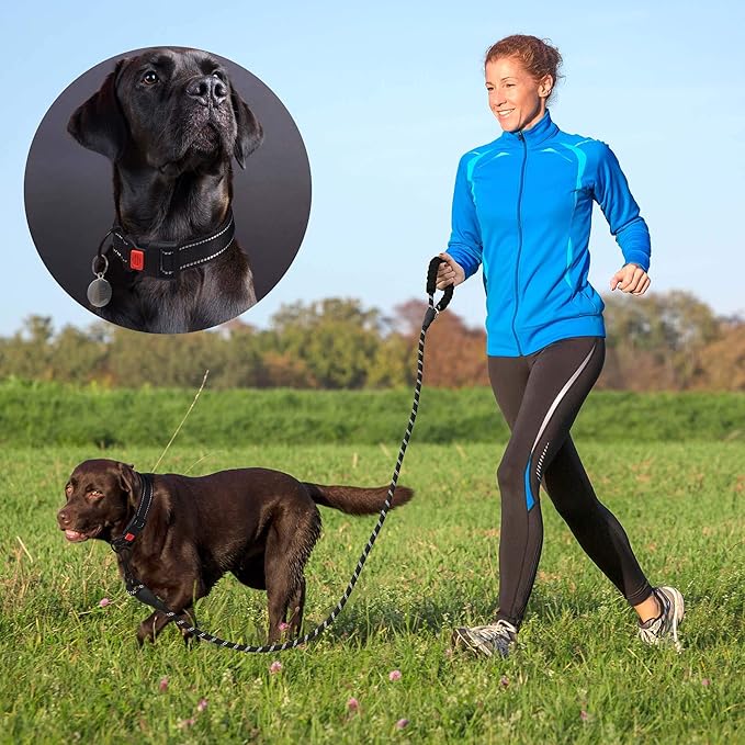 Heavy Duty Dog Leash - Comfortable Padded Handle, 5 ft Long - Dog Leashes for Small Medium Large Dogs (Leash+Collar L Neck 20"-25", Black)