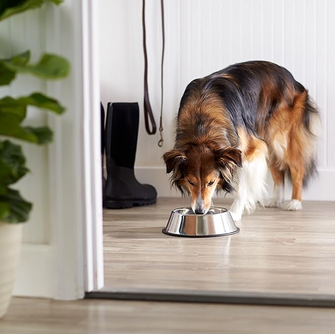 Amazon Basics Stainless Steel Dog Bowl, Single