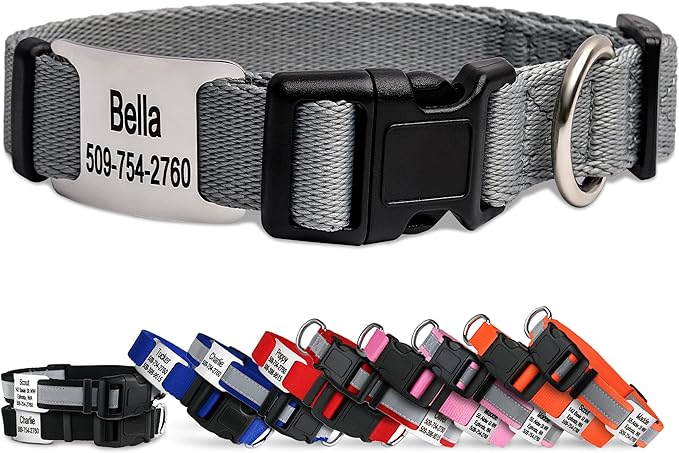 GoTags Personalized Dog Collar with Nameplate, Adjustable Dog Collar with Custom Engraved Slide On Pet ID Tag in Stainless Steel, Silent, No Noise Dog Tag (Light Gray, Medium)