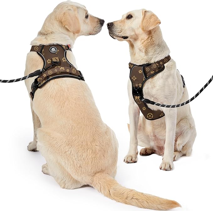 NESTROAD No Pull Dog Harness,Adjustable Oxford Dog Vest Harness with Leash,Reflective No-Choke Pet Harness with Easy Control Soft Handle for Medium Dogs(Medium,Dark Brown)