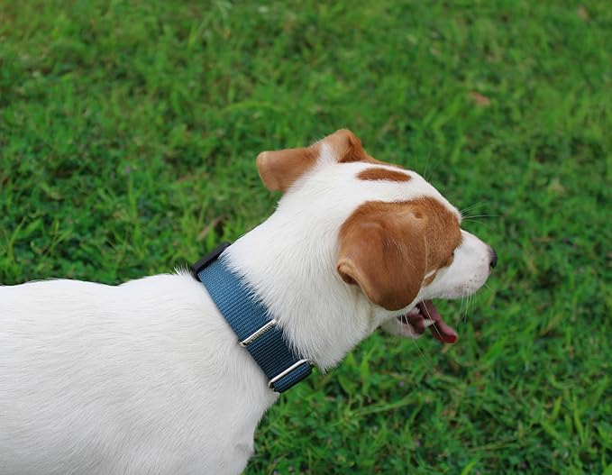 Mikivery Nylon Dog Collar with Quick Release Buckle Soft Adjustable Sturdy for Small Medium Large Dogs Haze Blue,L