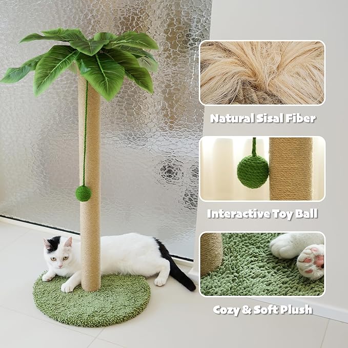 PETKARAY Cat Scratching Post, 36" Tall Palm Tree Cat Scratching Post, Sisal Cat Scratcher with Toy Ball for Indoor Kittens, Large Size