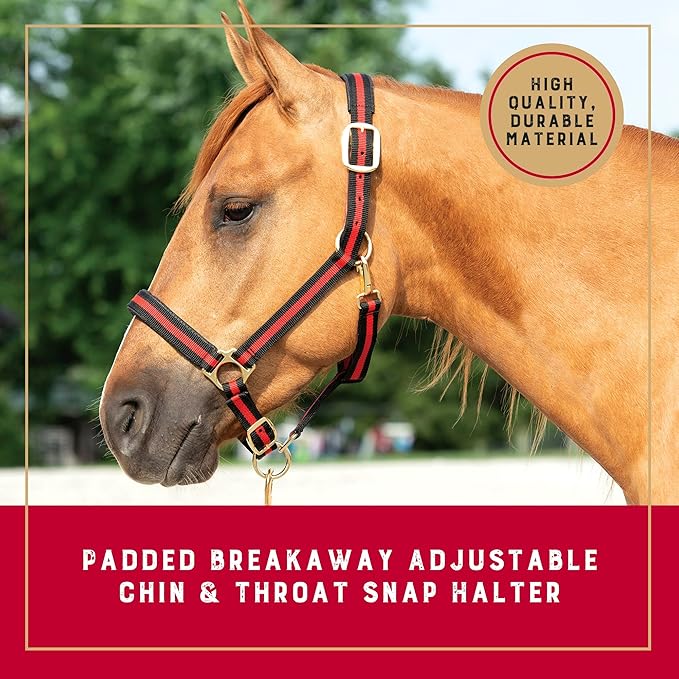 Weaver Equine Breakaway Horse Halter, Comfort Foam Padding, Adjustable Chin & Throat Snap Halters for Horses, Equine Tack,Average Size, Red