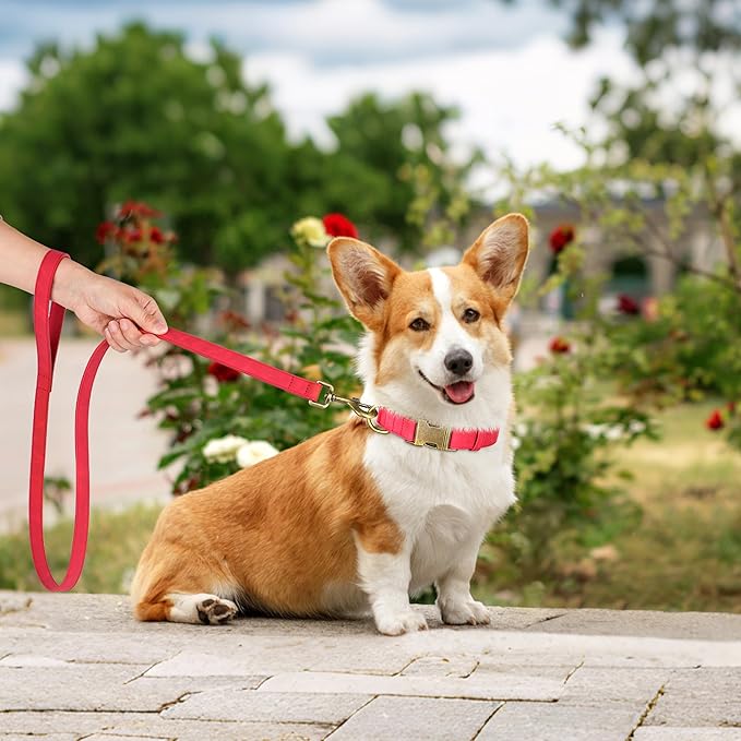Didog Soft PU Leather Dog Collar, Stylish Quick Released Dog Collars for Medium Dogs, Easy Clean Adjustable Pet Collar for Daily Walking, Red, M Fit 13-21" Neck