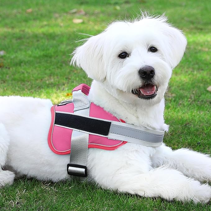 Bolux Dog Harness, No-Pull Reflective Dog Vest, Breathable Adjustable Pet Harness with Handle for Outdoor Walking - No More Pulling, Tugging or Choking (Fuchsia, X-Small (Pack of 1))