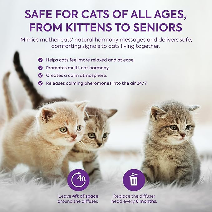 Cat Calming Diffuser Refills: Pheromone Refill for Cats, Long-Lasting 4-Month Supply, Compatible with Most Diffusers, 4 Pack (Lavender)