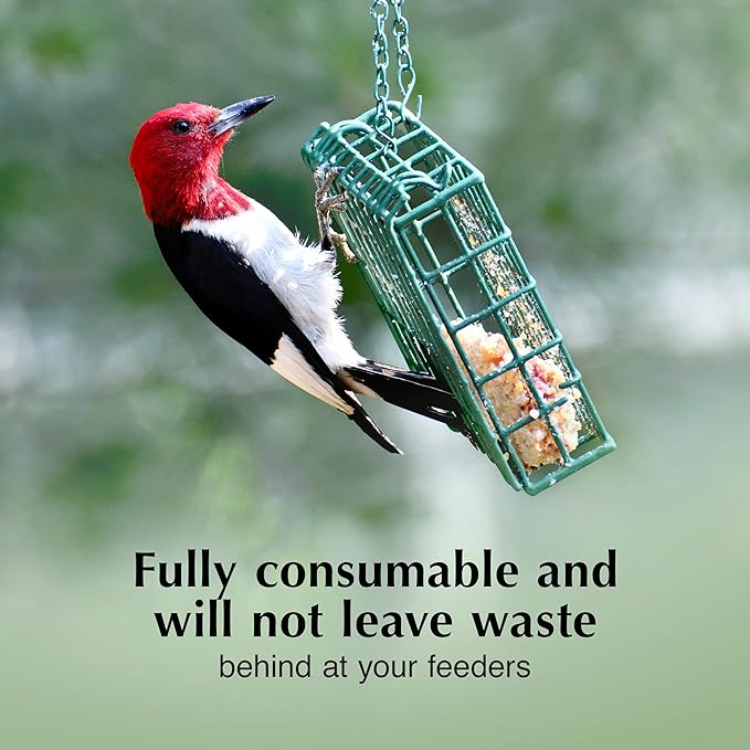 C&S High Energy Delight No Melt Suet Dough, Suet Cakes for Wild Birds, 11 Ounces, Pack of 8