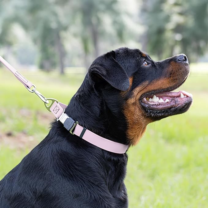 Dogline Biothane Waterproof Dog Collar with Herm Sprenger Stainless Steel Quick Release Buckle – Heavy Duty Tactical Durable Collar for Dogs – Comfortable and Safe Pet Collar, W 1" L 15-25", Pastel