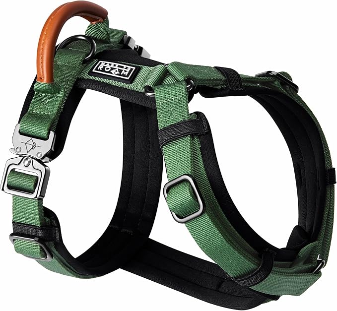 MADE TO ROAM Premium Explorer Harness - Y-Shaped Dog Harness with Adjustable Durable Nylon, Soft Padding, Metal Buckles and Leather Handle for Small, Medium, Large Dogs (Oregon Haze, Size 2)