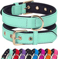 Didog Soft Padded Dog Collars for Medium Dogs, Lightweight and Breathable Dog Collar with Metal Buckle, Green, L